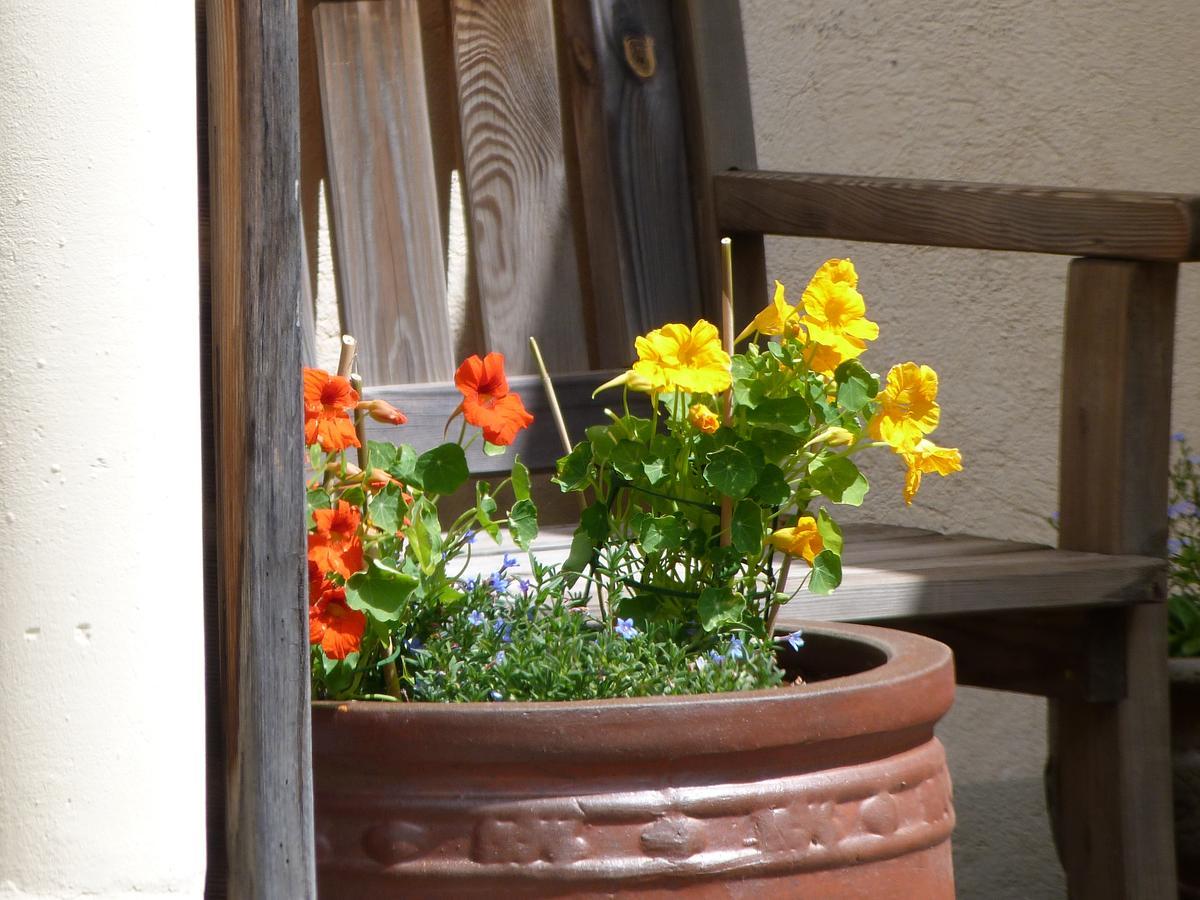 Saint-Mamet B & B Au Dela Du Temps المظهر الخارجي الصورة